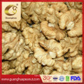 New Crop Best Quality Walnut Kernels